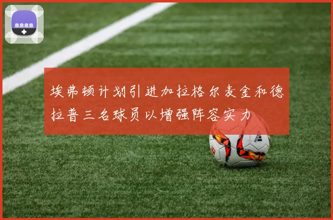 埃弗顿计划引进加拉格尔麦金和德拉普三名球员以增强阵容实力